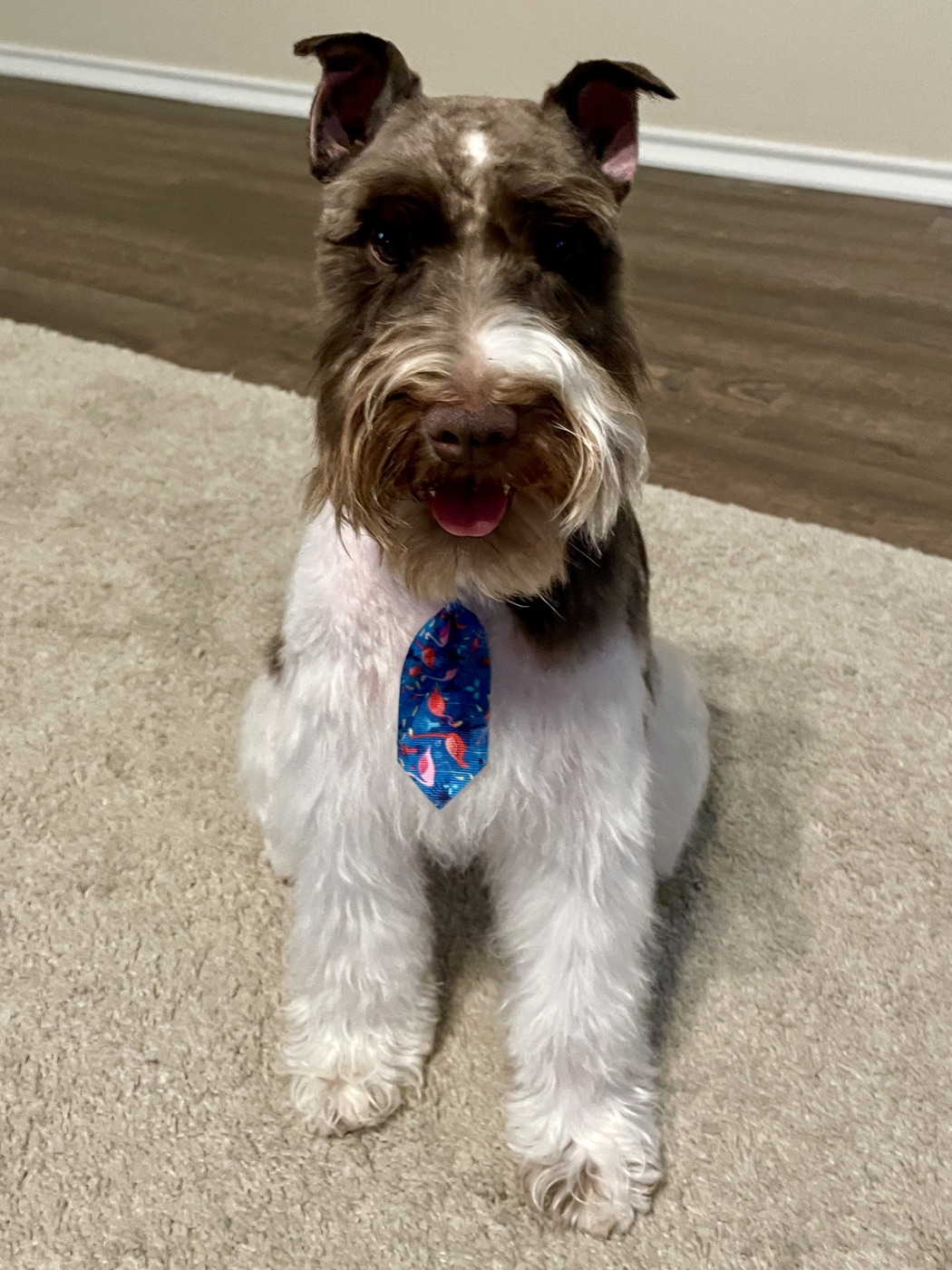 Jasper, Chief Inspiration Officer and BarkinNails mascot